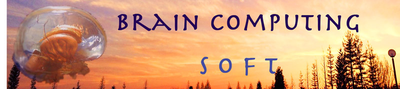 SOFT Brain Computing